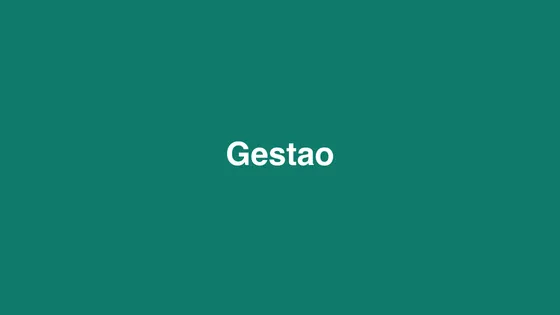 Os indicadores essenciais do seu negócio
